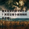 皇太后坐的轿子叫什么？其实它有个很特别的名字哦！