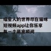 喵星人的世界尽在猫咪短视频app让你乐享每一个萌宠瞬间