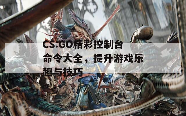 CS:GO精彩控制台命令大全，提升游戏乐趣与技巧