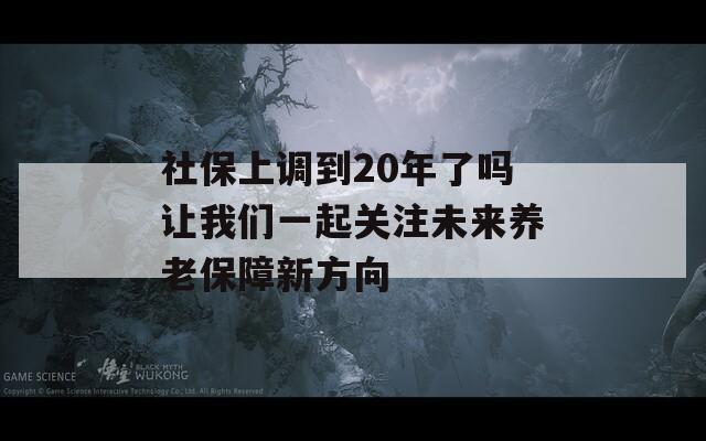 社保上调到20年了吗让我们一起关注未来养老保障新方向