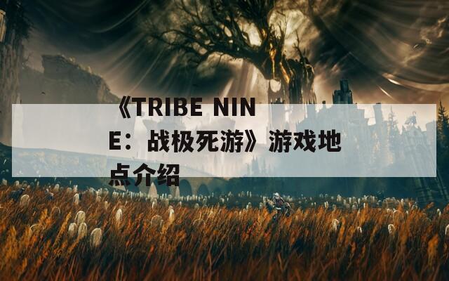 《TRIBE NINE：战极死游》游戏地点介绍